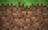 Hospedagem Minecraft
